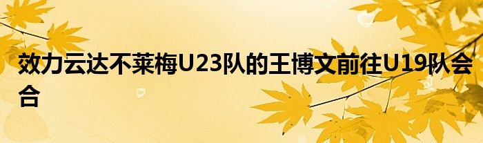 效力云达不莱梅U23队的王博文前往U19队会合