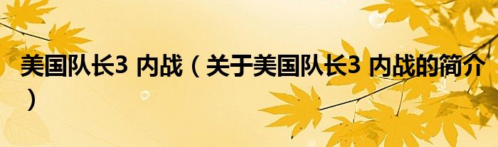 美国队长3 内战（关于美国队长3 内战的简介）