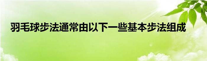 羽毛球步法通常由以下一些基本步法组成