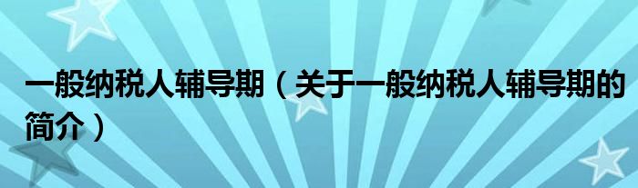 一般纳税人辅导期（关于一般纳税人辅导期的简介）