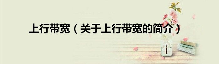 上行带宽（关于上行带宽的简介）