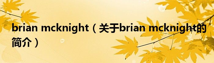 brian mcknight（关于brian mcknight的简介）