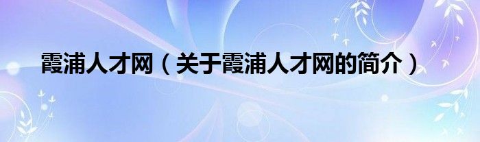 霞浦人才网（关于霞浦人才网的简介）