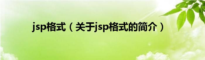 jsp格式（关于jsp格式的简介）