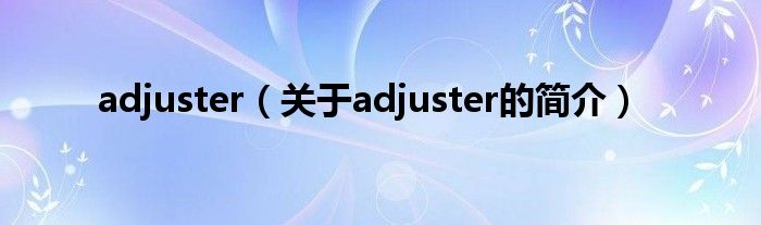 adjuster（关于adjuster的简介）
