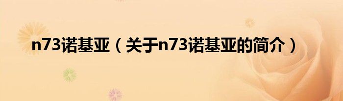 n73诺基亚（关于n73诺基亚的简介）