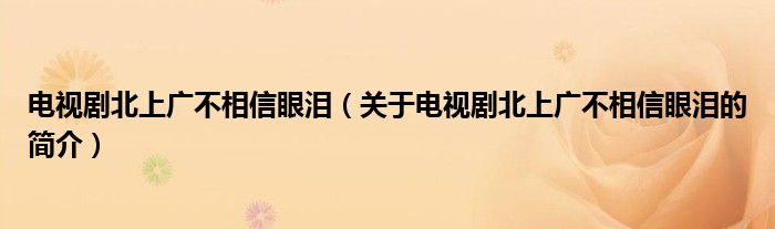 电视剧北上广不相信眼泪（关于电视剧北上广不相信眼泪的简介）