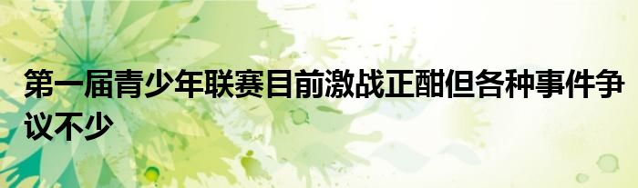 第一届青少年联赛目前激战正酣但各种事件争议不少