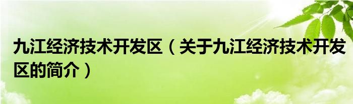 九江经济技术开发区（关于九江经济技术开发区的简介）