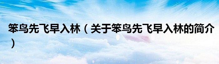 笨鸟先飞早入林（关于笨鸟先飞早入林的简介）