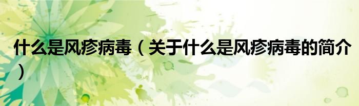 什么是风疹病毒（关于什么是风疹病毒的简介）
