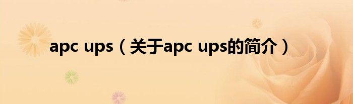 apc ups（关于apc ups的简介）