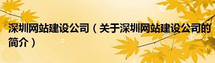 深圳网站建设公司（关于深圳网站建设公司的简介）