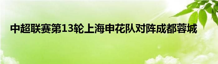 中超联赛第13轮上海申花队对阵成都蓉城