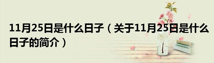 11月25日是什么日子（关于11月25日是什么日子的简介）