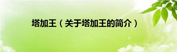 塔加王（关于塔加王的简介）