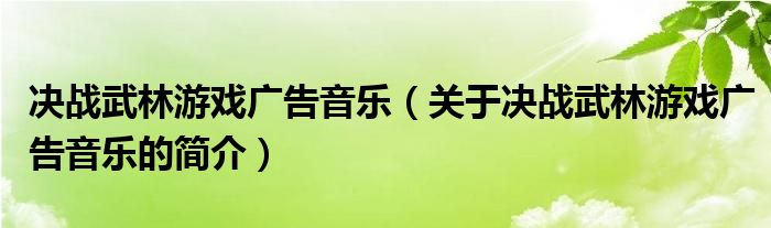 决战武林游戏广告音乐（关于决战武林游戏广告音乐的简介）