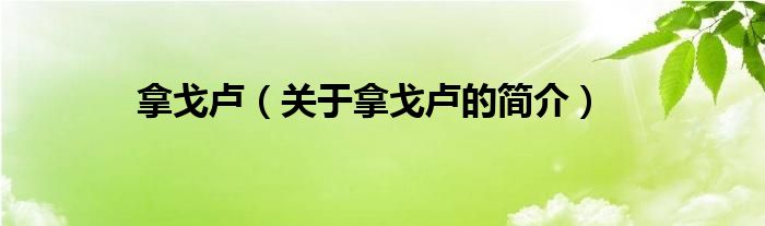拿戈卢（关于拿戈卢的简介）
