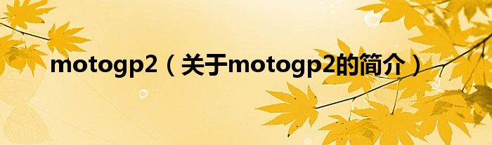 motogp2（关于motogp2的简介）