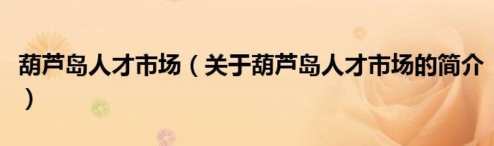 葫芦岛人才市场（关于葫芦岛人才市场的简介）