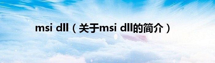 msi dll（关于msi dll的简介）