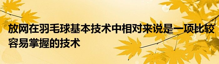 放网在羽毛球基本技术中相对来说是一项比较容易掌握的技术