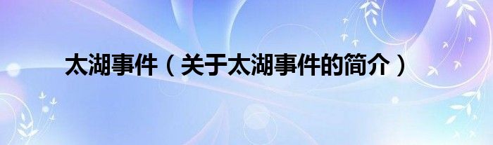 太湖事件（关于太湖事件的简介）