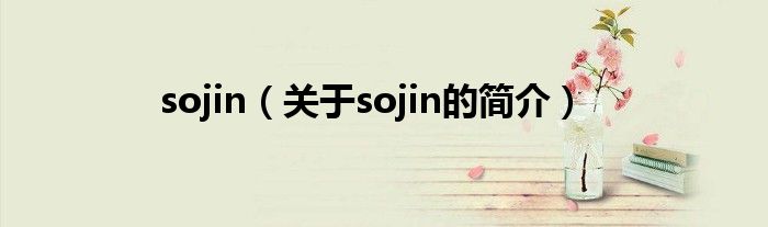 sojin（关于sojin的简介）