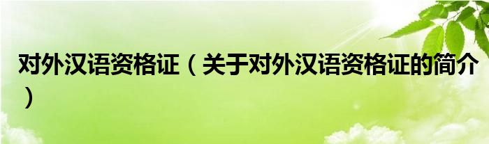 对外汉语资格证（关于对外汉语资格证的简介）