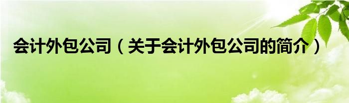 会计外包公司（关于会计外包公司的简介）