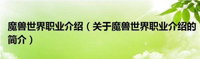 魔兽世界职业介绍（关于魔兽世界职业介绍的简介）