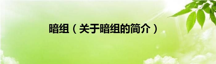 暗组（关于暗组的简介）
