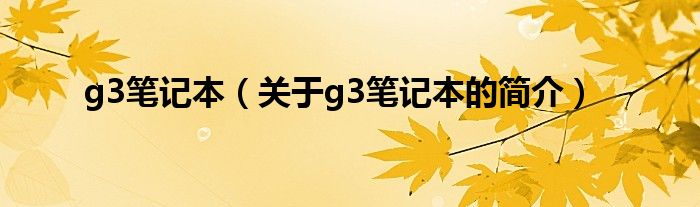 g3笔记本（关于g3笔记本的简介）