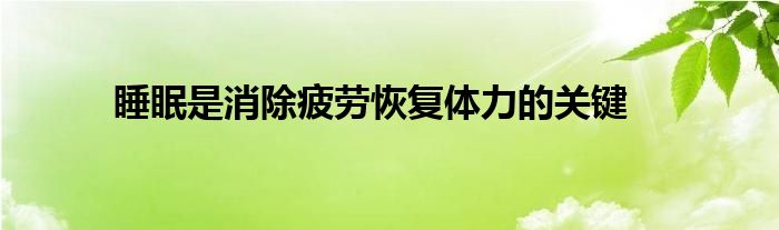 睡眠是消除疲劳恢复体力的关键