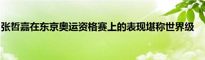 张哲嘉在东京奥运资格赛上的表现堪称世界级