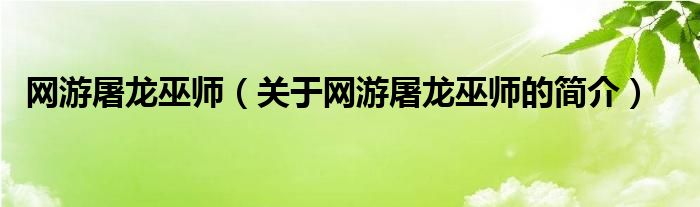 网游屠龙巫师（关于网游屠龙巫师的简介）