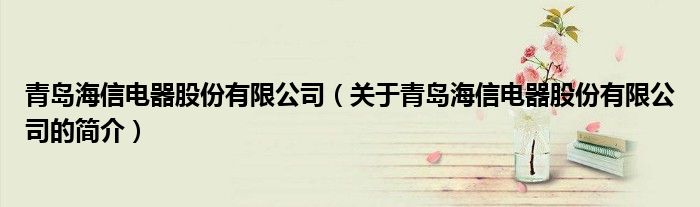 青岛海信电器股份有限公司（关于青岛海信电器股份有限公司的简介）