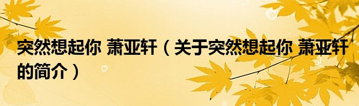 突然想起你 萧亚轩（关于突然想起你 萧亚轩的简介）