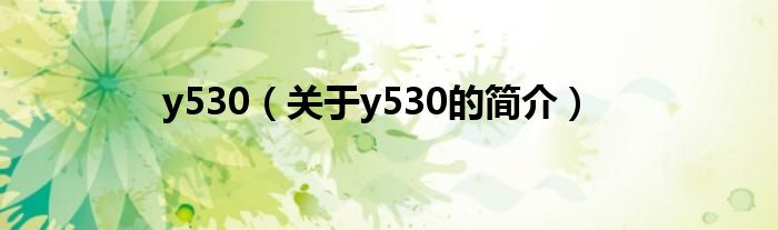 y530（关于y530的简介）