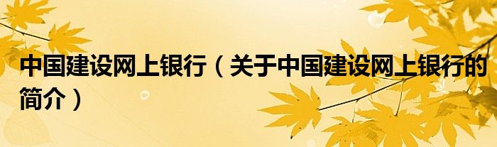 中国建设网上银行（关于中国建设网上银行的简介）