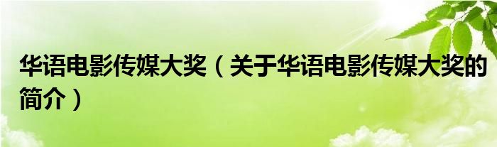 华语电影传媒大奖（关于华语电影传媒大奖的简介）