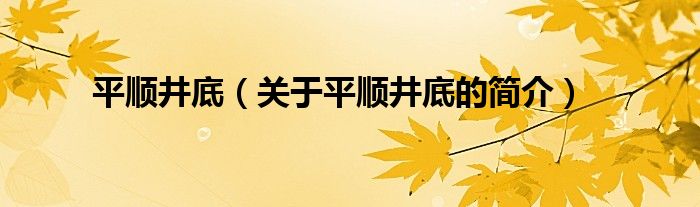 平顺井底（关于平顺井底的简介）