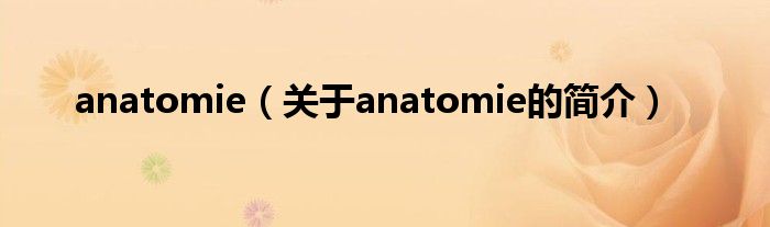 anatomie（关于anatomie的简介）