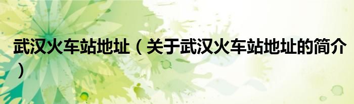 武汉火车站地址（关于武汉火车站地址的简介）