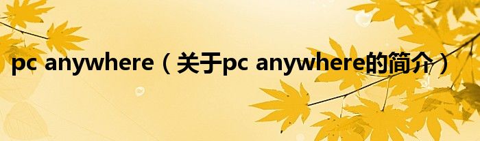 pc anywhere（关于pc anywhere的简介）