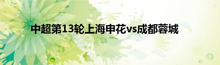 中超第13轮上海申花vs成都蓉城