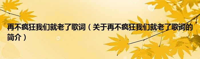 再不疯狂我们就老了歌词（关于再不疯狂我们就老了歌词的简介）