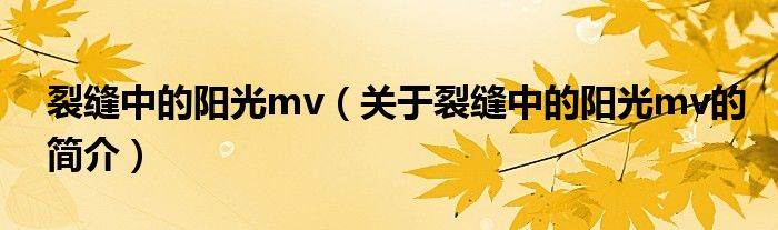 裂缝中的阳光mv（关于裂缝中的阳光mv的简介）