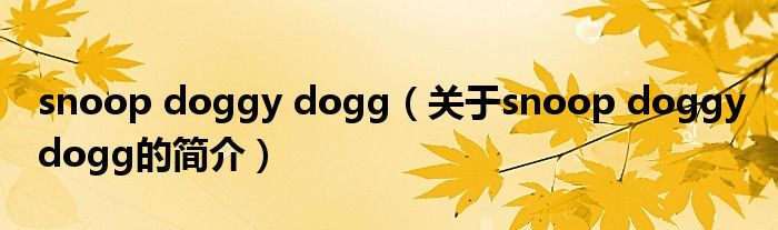 snoop doggy dogg（关于snoop doggy dogg的简介）