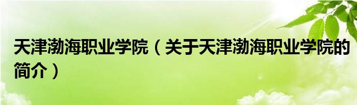 天津渤海职业学院（关于天津渤海职业学院的简介）